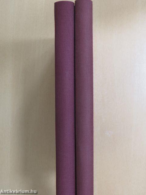 Az «Észak Csillaga» («Stella Polare») az Északi Sarktengeren 1899-1900 I-II.