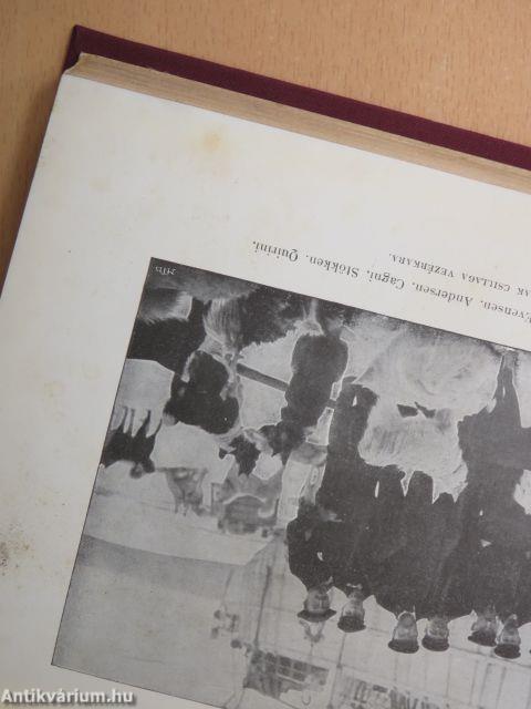 Az «Észak Csillaga» («Stella Polare») az Északi Sarktengeren 1899-1900 I-II.