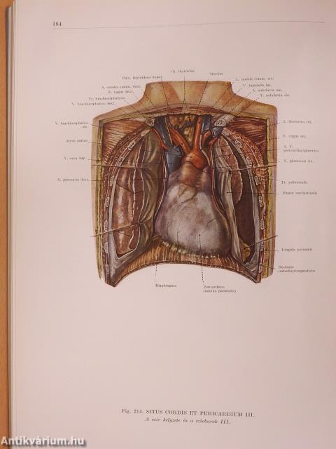 Az ember anatómiájának atlasza I-III.