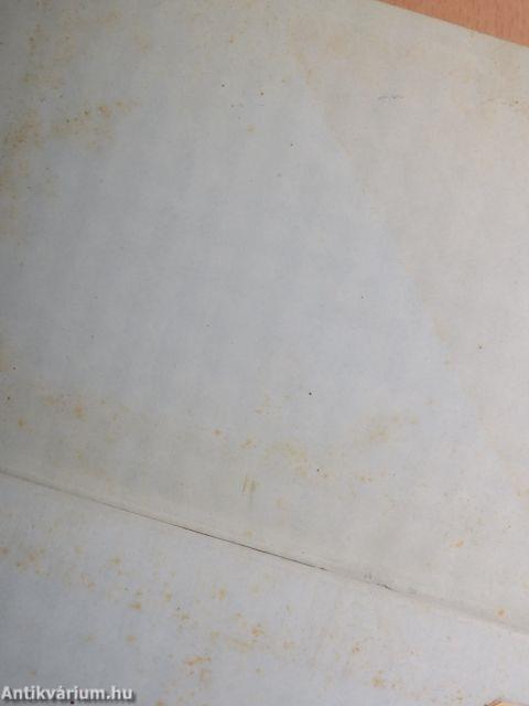 C. Plini Caecili Secundi Epistularum Libri Novem/Epistularum Ad Traianum Liber Panegyricus