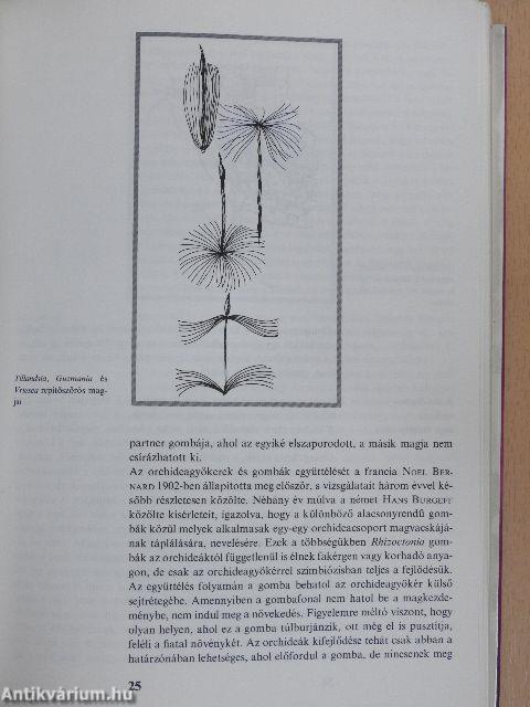 Orchideák és broméliák