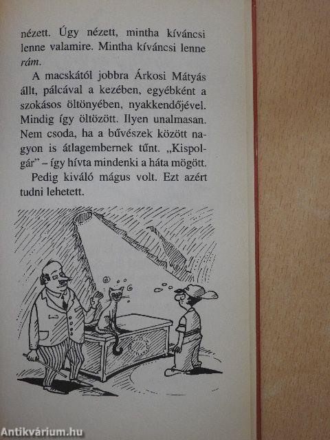 Vészhelyzet a Mágusképzőn