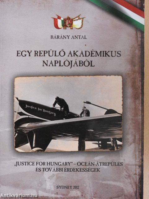 Egy repülő akadémikus naplójából