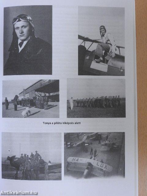 Egy repülő akadémikus naplójából