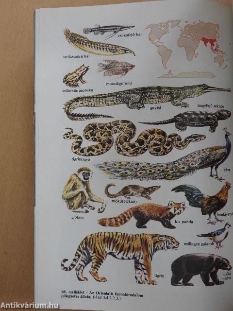 Természettudományi kisenciklopédia