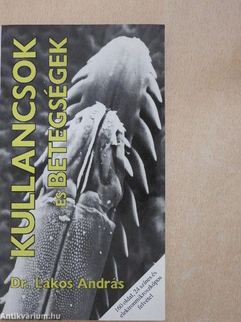 Kullancsok és betegségek