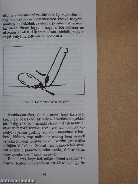 Kullancsok és betegségek