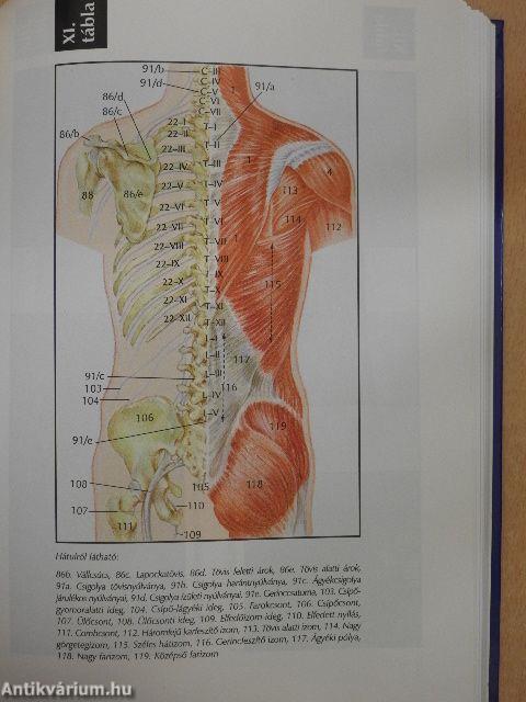 Biológiai diáklexikon