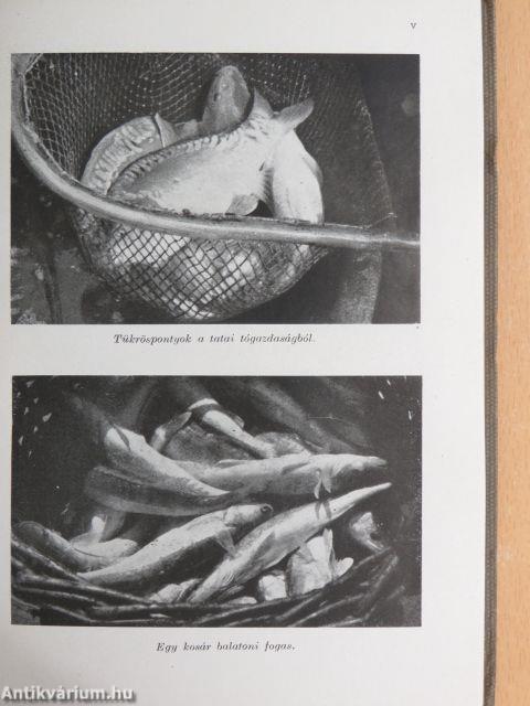 Barátunk és ellenségünk az állat