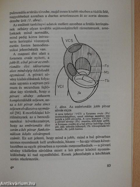 A biológia aktuális problémái 15.