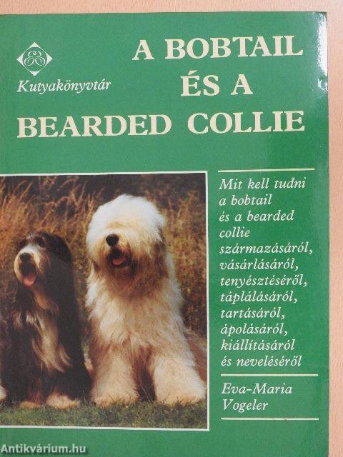 A bobtail és a bearded collie