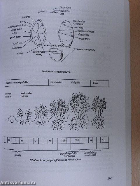 Mezőgazdasági ismeretek I-II.