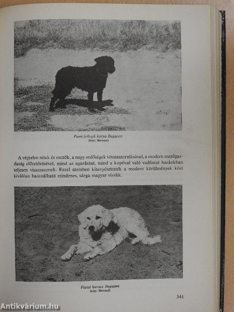 Nemzeti park a Kiskunságban