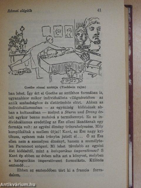 Az európai irodalom története