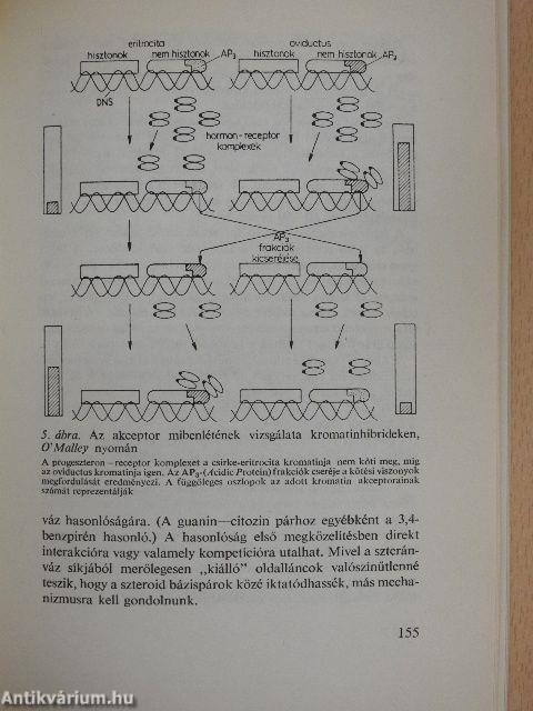 A biológia aktuális problémái 13.