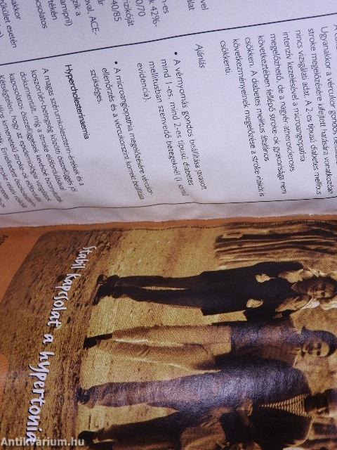 Útmutató 2002. december