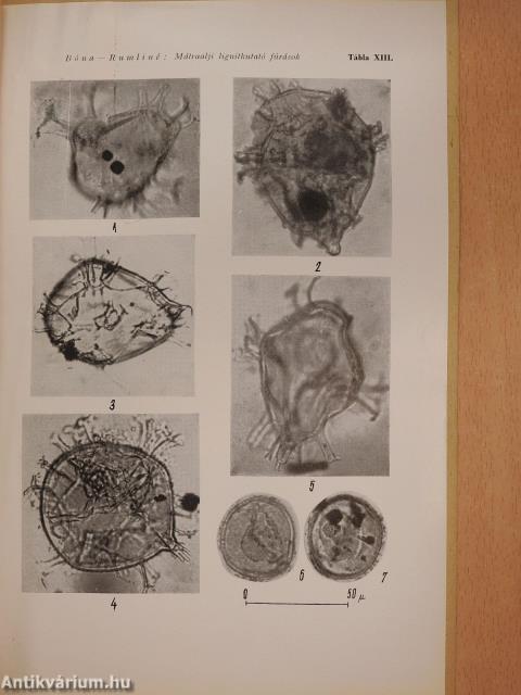 A mátraaljai lignitkutató fúrások palynológiai eredményei (kétszeresen dedikált példány)