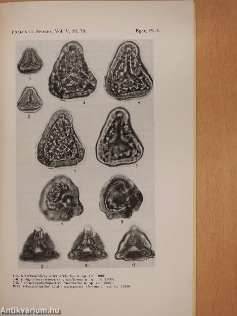 Spores et pollens nouveaux d'une Coupe de la Briqueterie d'Eger (Hongrie) (dedikált példány)