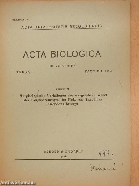 Morphologische variationen der waagrechten Wand des Längsparenchyms im Holz von Taxodium ascendens Brongn (dedikált példány)