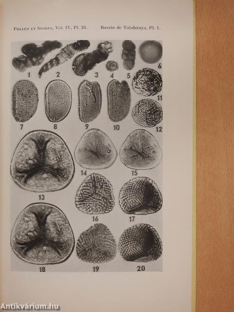 Études palynologiques de quelques échantillons du bassin de Tatabánya (dedikált példány)