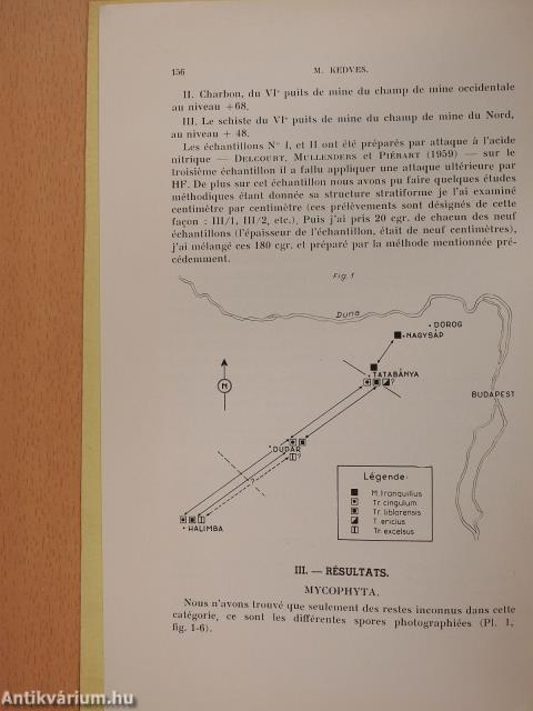 Études palynologiques de quelques échantillons du bassin de Tatabánya (dedikált példány)