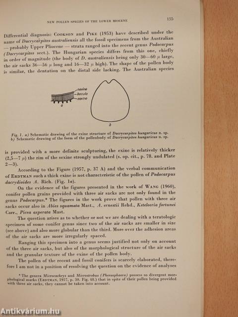 New pollen species from the lower miocene of the Bakony mountain (Várpalota) of Hungary (dedikált példány)