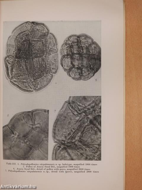 New pollen species from the lower miocene of the Bakony mountain (Várpalota) of Hungary (dedikált példány)