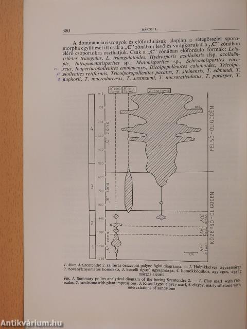 A Szentendre 2. sz. fúrás palynológiai vizsgálata (dedikált példány)