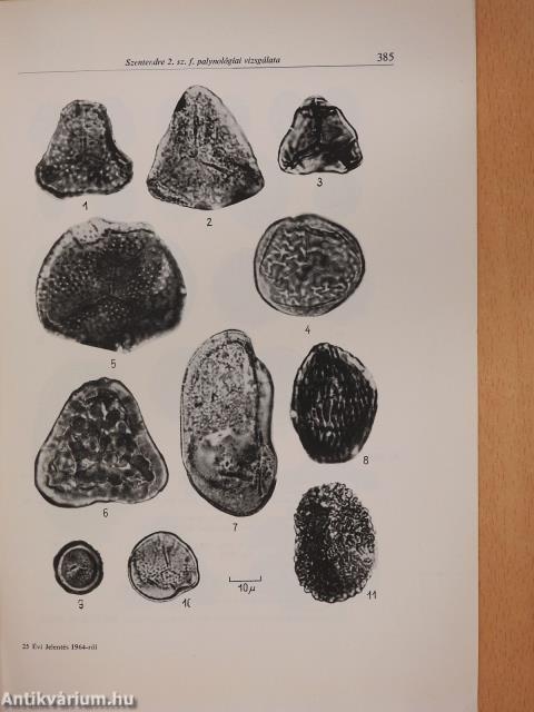 A Szentendre 2. sz. fúrás palynológiai vizsgálata (dedikált példány)