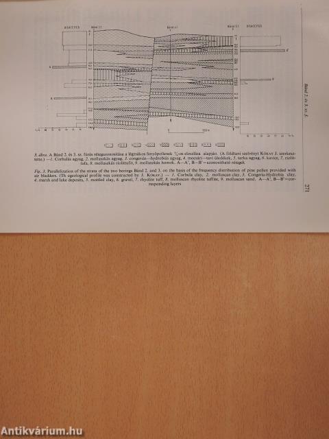 A bánd 2. és bánd 3. sz. fúrások összehasonlító palynológiai vizsgálata (dedikált példány)