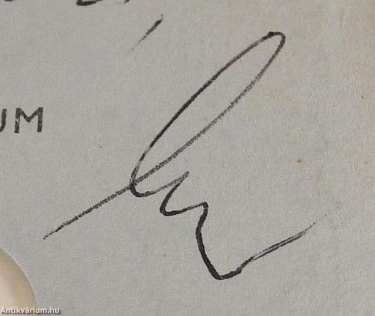 Probrevaxones, a new pollen group for the first brevaxones form-genera from the upper cenomanian of portugal (dedikált példány)