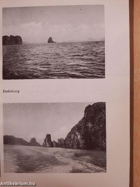 Fények a dzsungelben