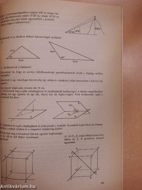 Matematika munkatankönyv II.