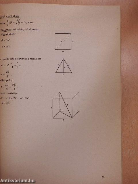 Matematika munkatankönyv II.