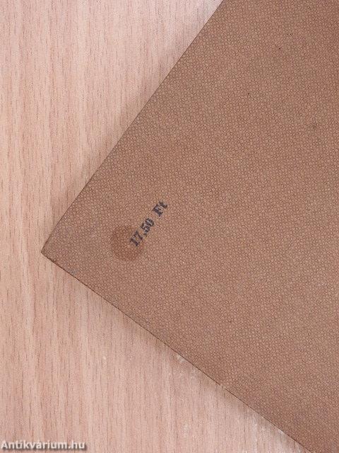 Fények a dzsungelben