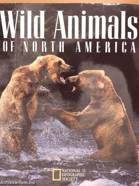 Wild Animals of North America