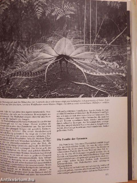 Das Reich Der Sänger