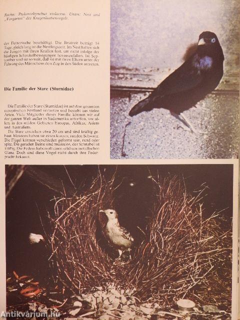 Das Reich Der Sänger