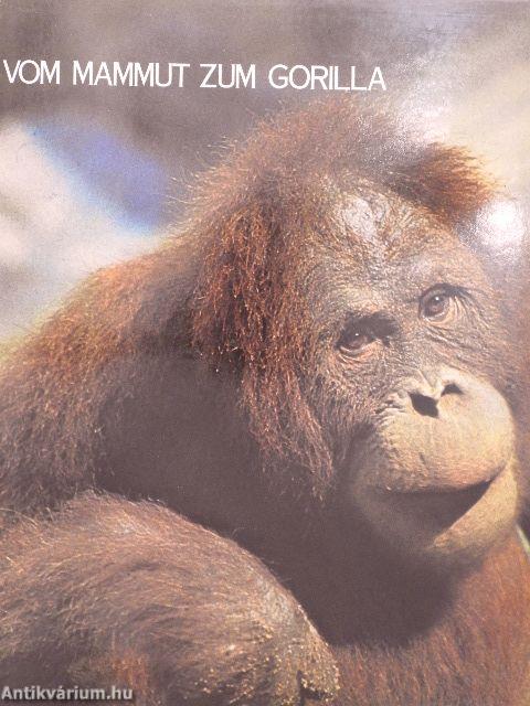 Vom Mammut Zum Gorilla