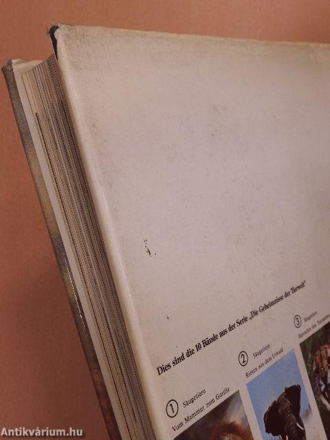 Vom Mammut Zum Gorilla