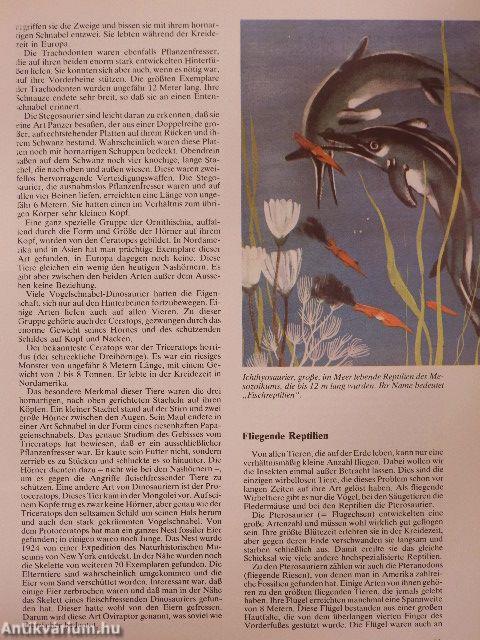 Vom Mammut Zum Gorilla