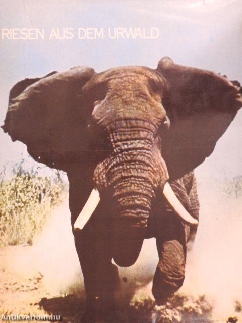 Riesen Aus Dem Urwald