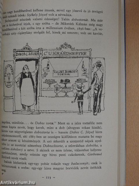 A magyar szó regénye