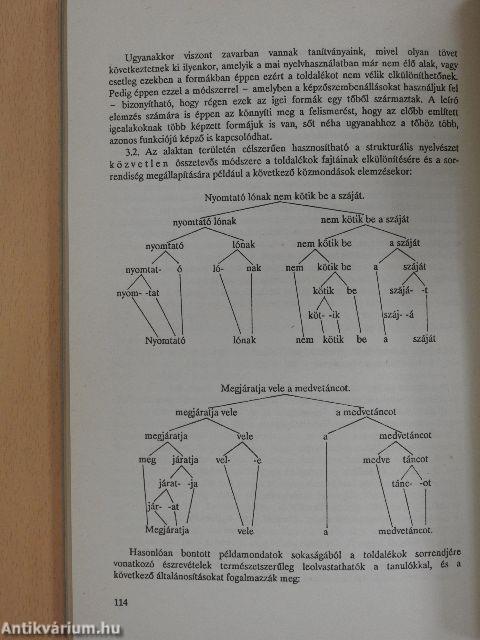 Az anyanyelv értékrendje és az iskola