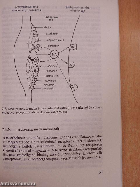 A magasvérnyomás betegség