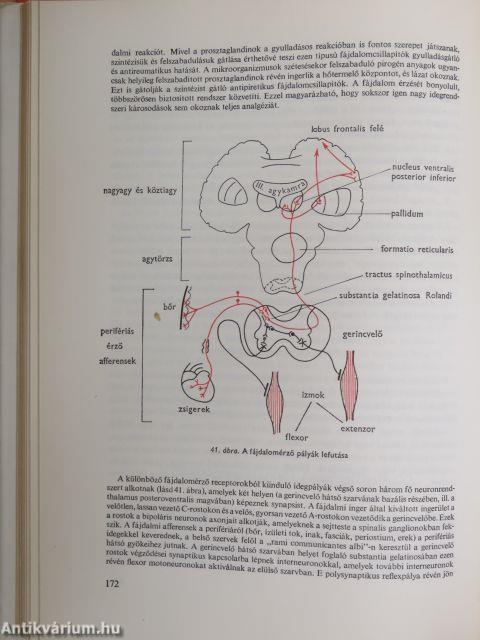 Orvosi gyógyszertan