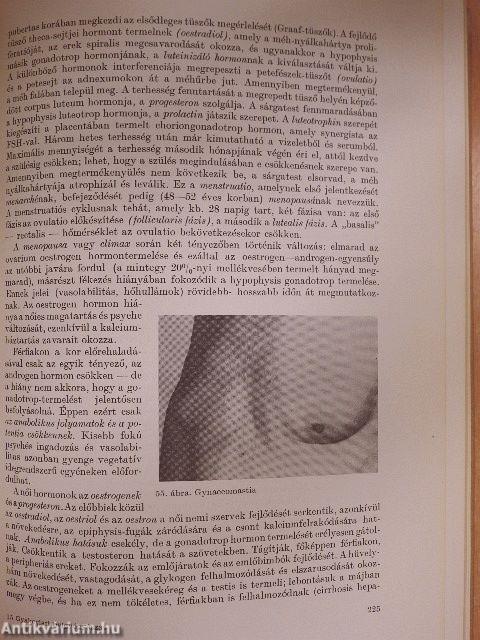 Gyakorlati belgyógyászat