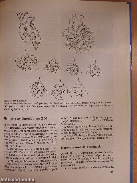 Belgyógyászati ultrahang-diagnosztika