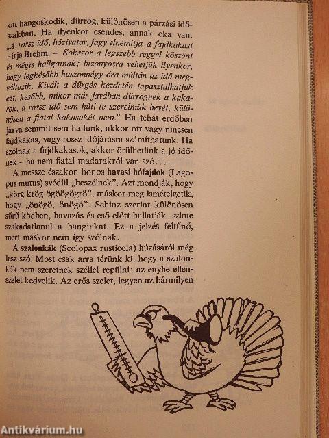 Időjós élővilág