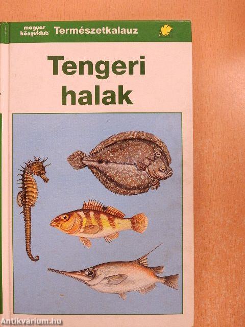 Tengeri halak